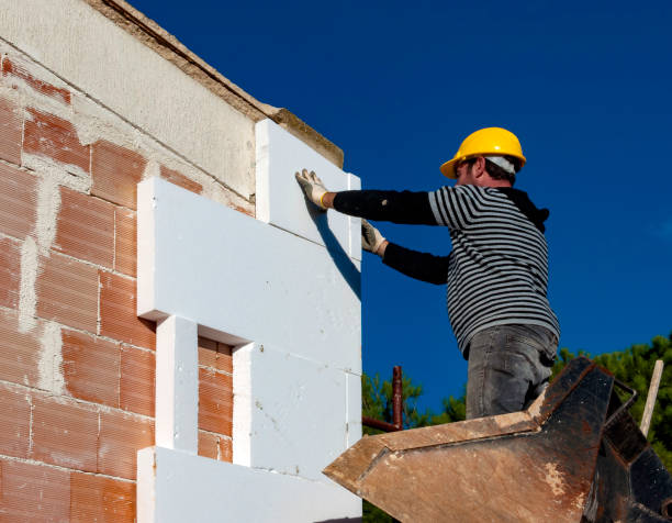 Best Insulation Removal  in Greenwood, PA